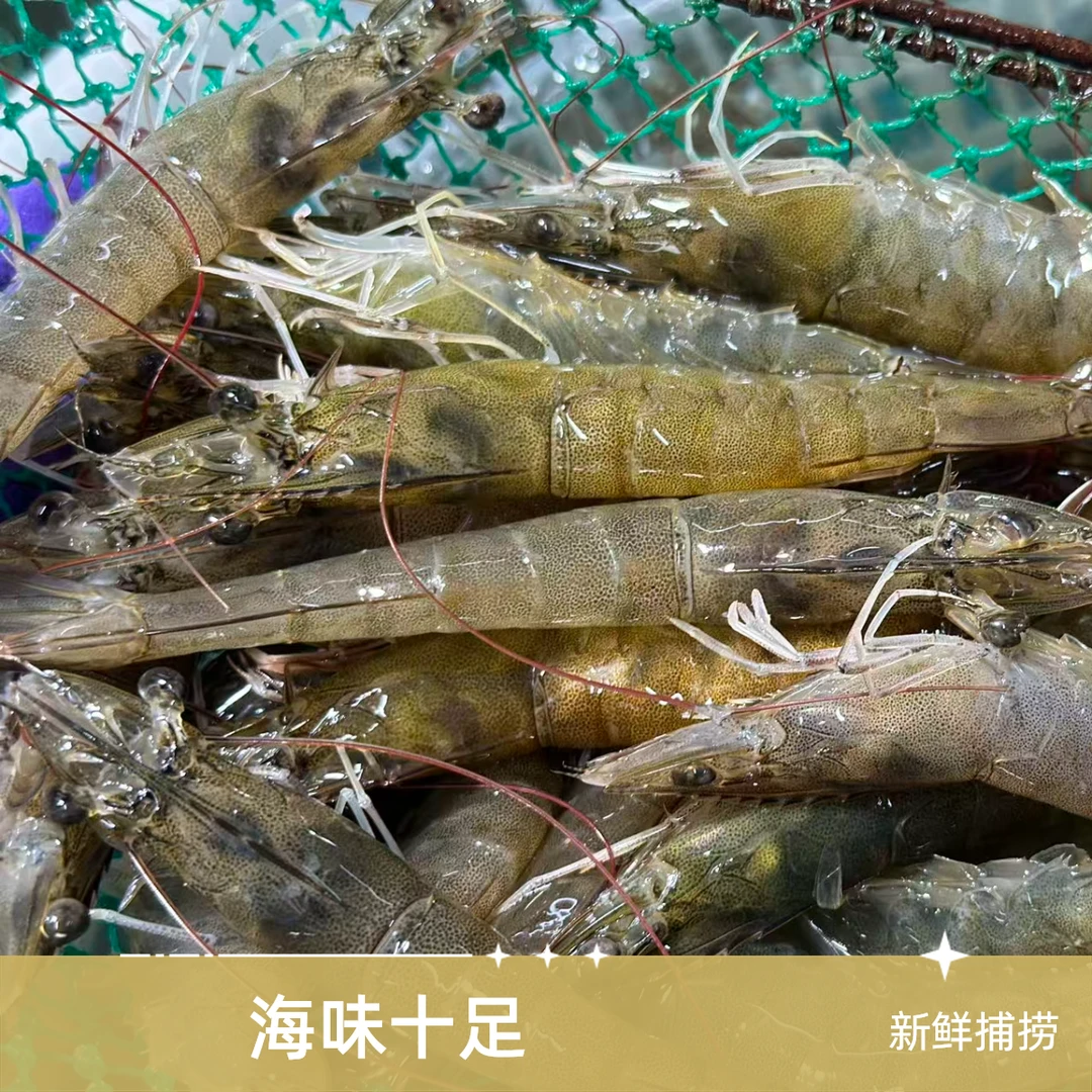 新鲜鲜活青虾22元1斤20-22个左右