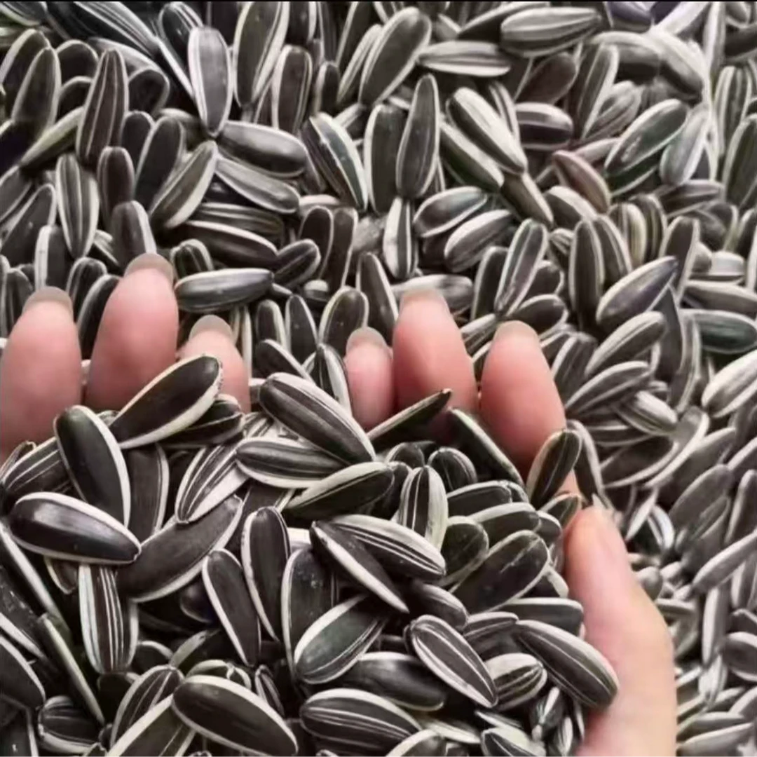 【买一斤送一斤】原味大颗粒熟瓜子追剧必备休闲零食多仓发货