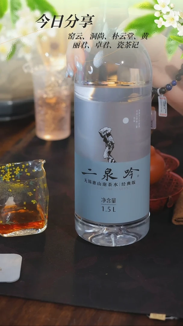 经典版二泉吟无锡惠山泡茶