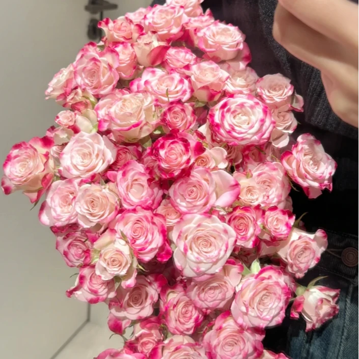 【今喜花舍】（多头）折射泡泡  0°以下地区记得拍保温棉哦！！！