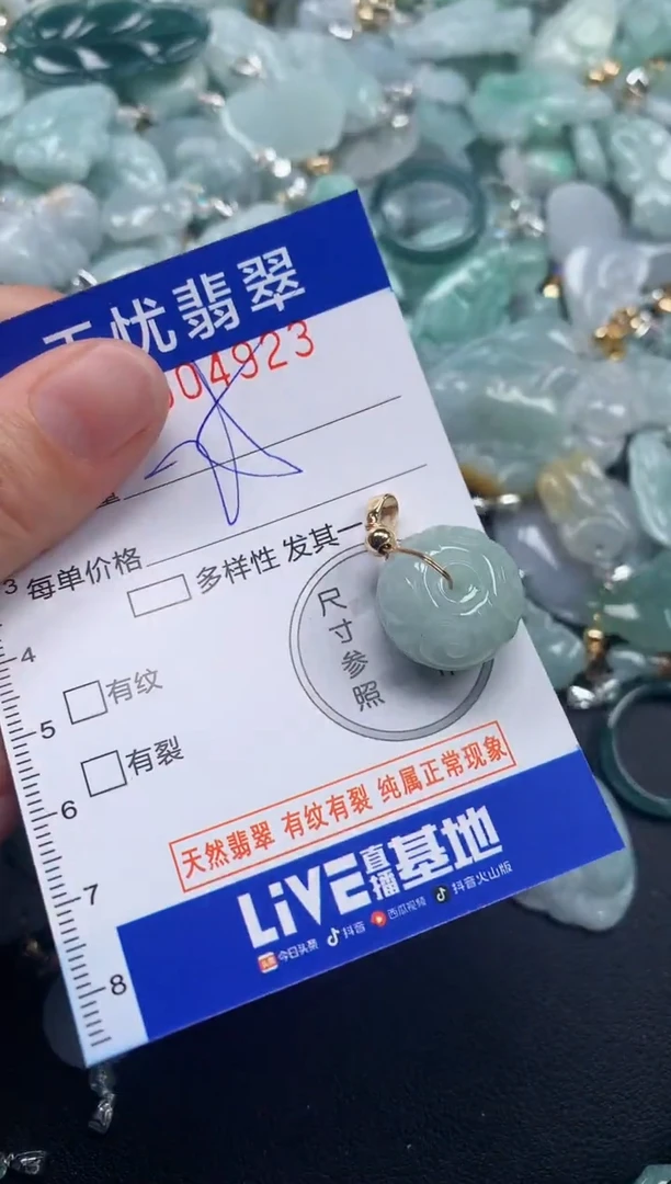 颈饰未镶嵌翡翠4923