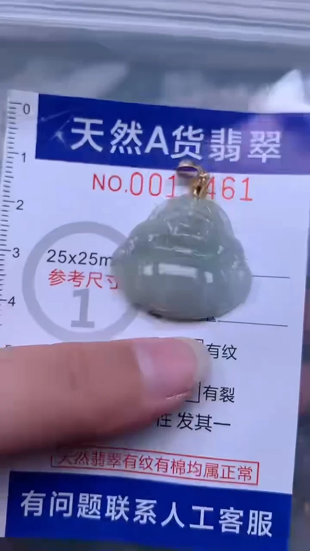 翡翠未镶嵌吊坠(不含链)1
