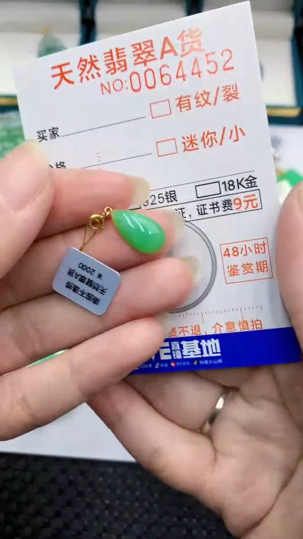 【闪购商品】翡翠颈饰18K金镶嵌            8