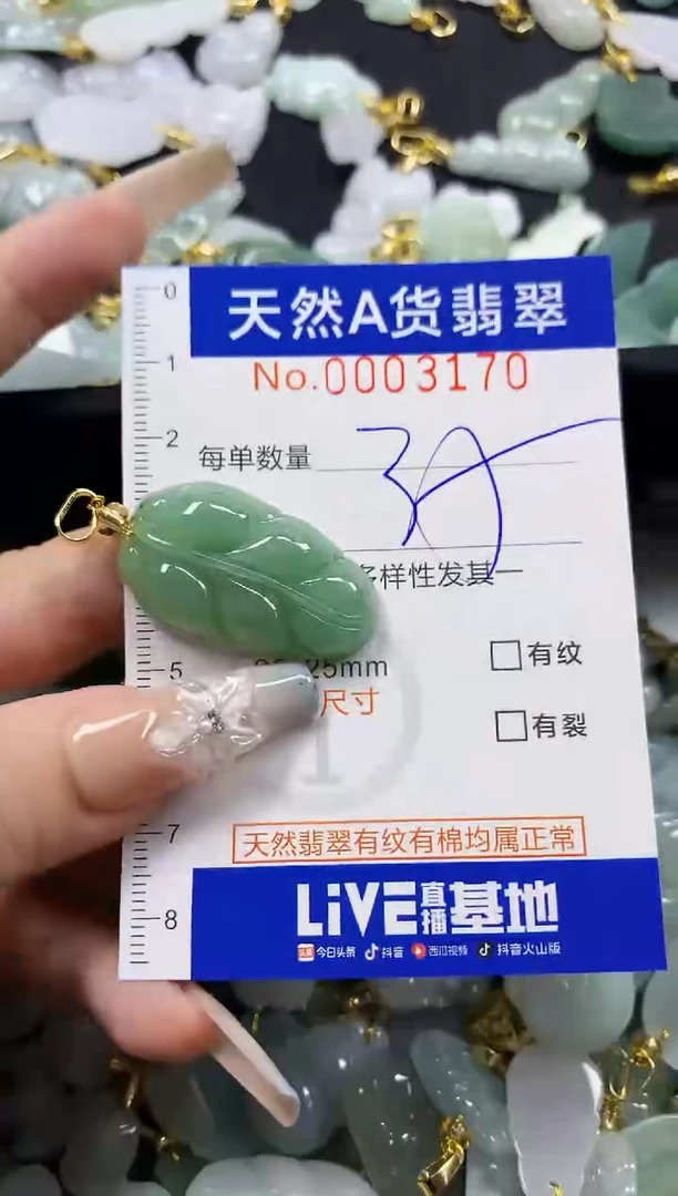 颈饰未镶嵌翡翠天然A货翡翠