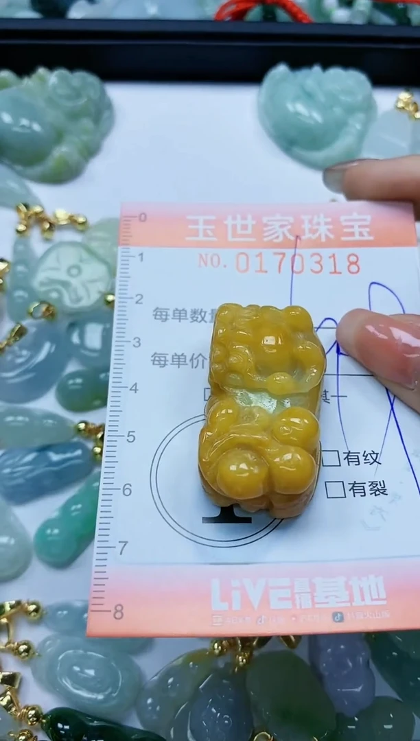 【闪购商品】翡翠颈饰未镶嵌闪购0170318