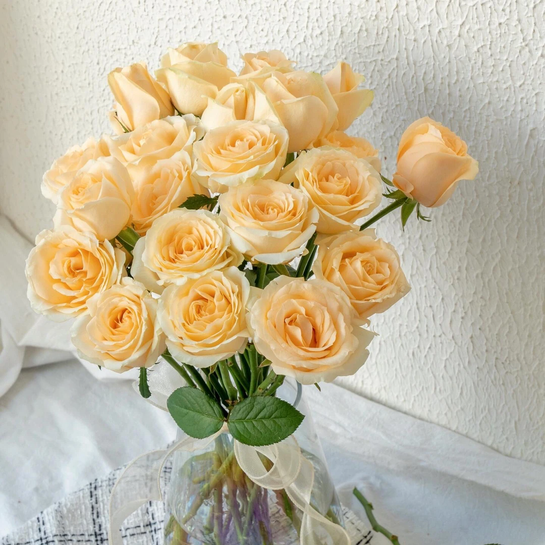 【香槟鲜花】云南单头鲜切花水培插花任意两单 顺丰包邮