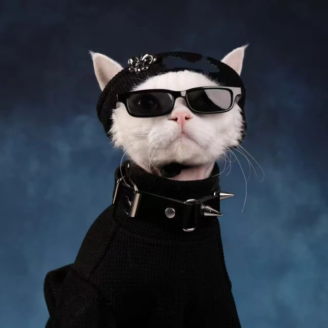 【23号】【全新未使用-拆盒】新款男士奢侈羽绒衣-Y2028