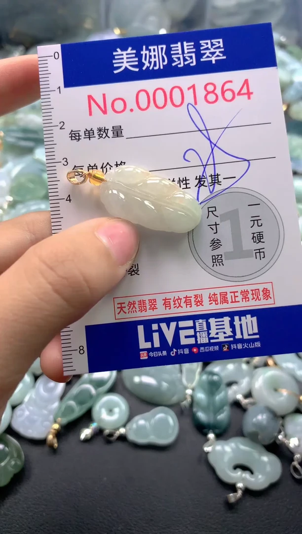 颈饰未镶嵌翡翠1864