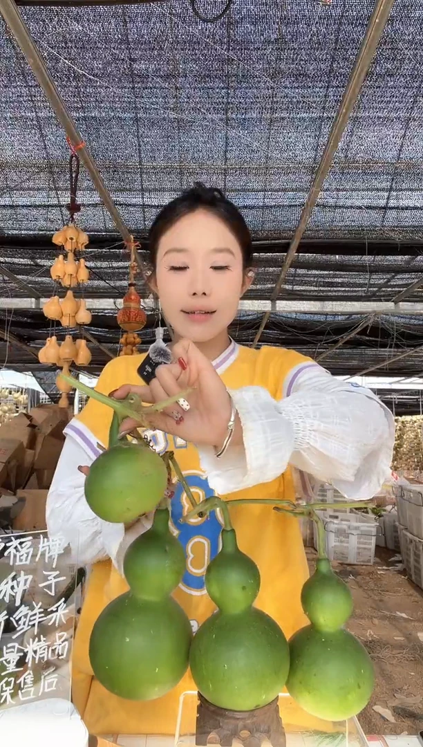 059天然葫芦摆件 一物一拍龙头不保售后