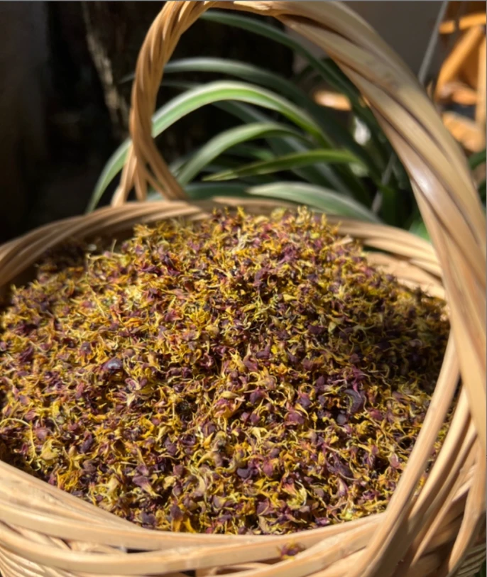 大山深处 珍虫石斛花.2