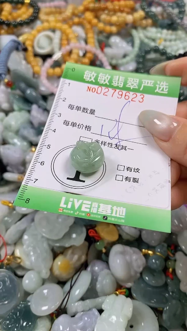 翡翠未镶嵌颈饰闪购0279623