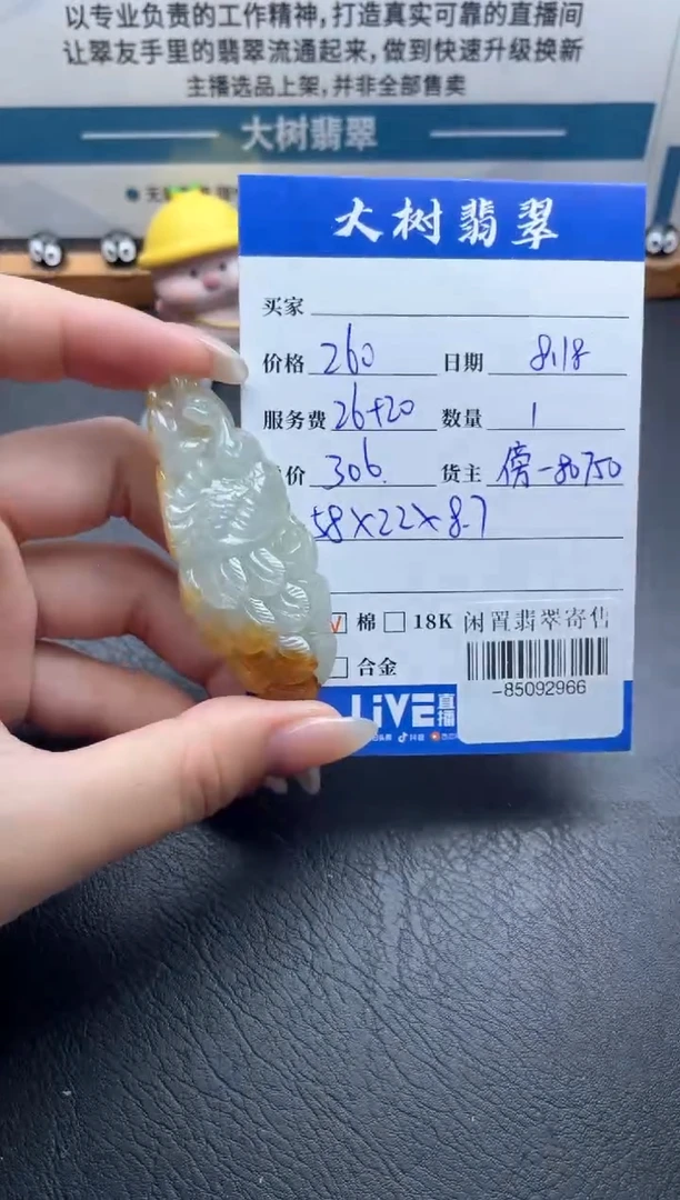 翡翠未镶嵌颈饰多人-85092966