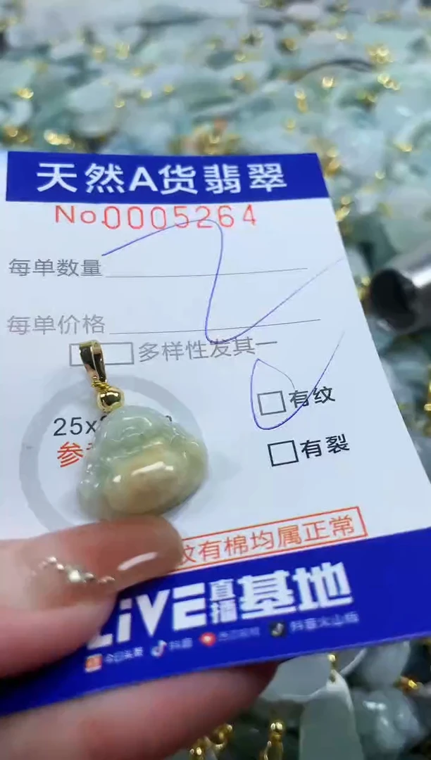 颈饰未镶嵌翡翠天然A货翡翠