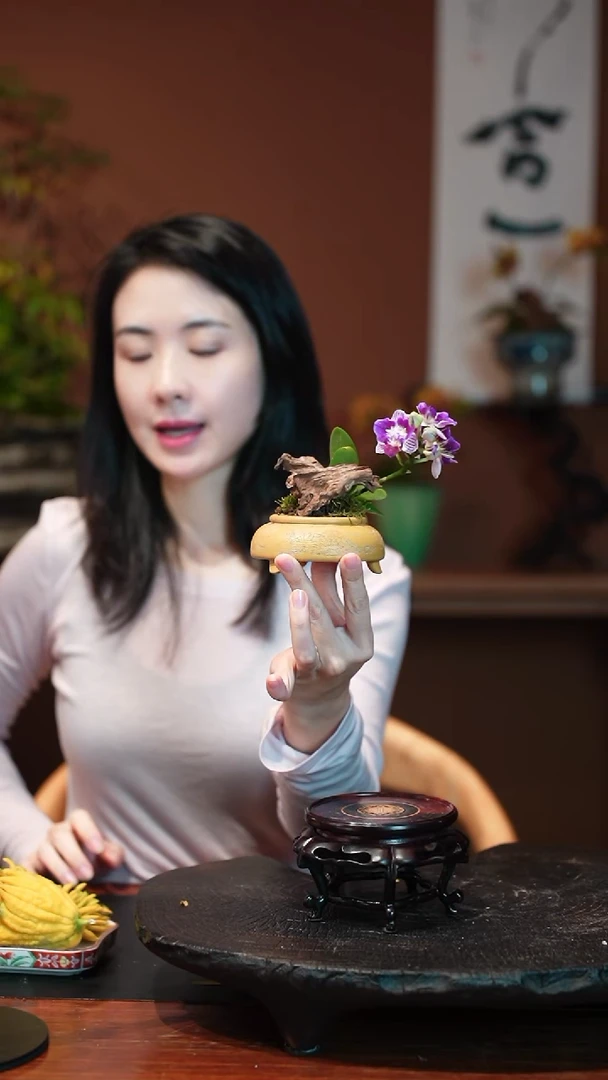 无花朵康****?蝴蝶兰盆景盆景盆景
