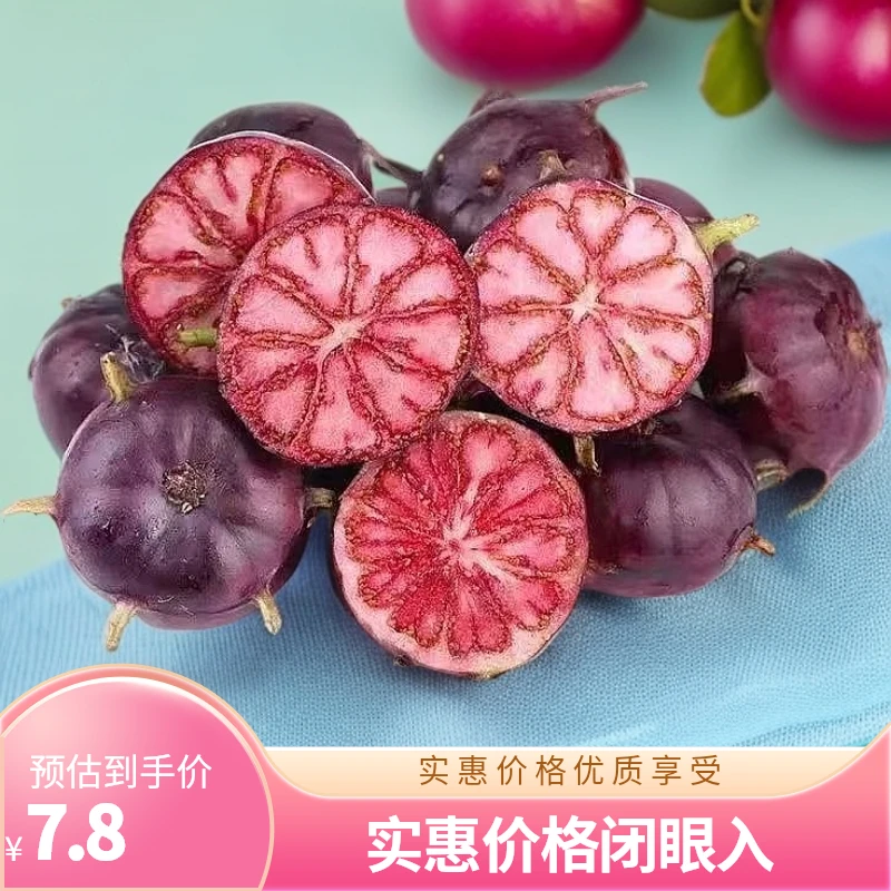 正宗云南红果参蜘蛛果算盘果党参果罕见水果花青素天然黄酮丰富