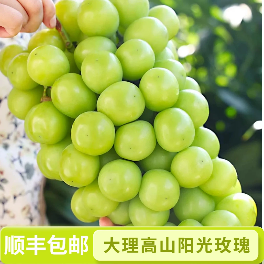顺丰彩箱正宗大理阳光玫瑰晴王葡萄新鲜整串脆多汁