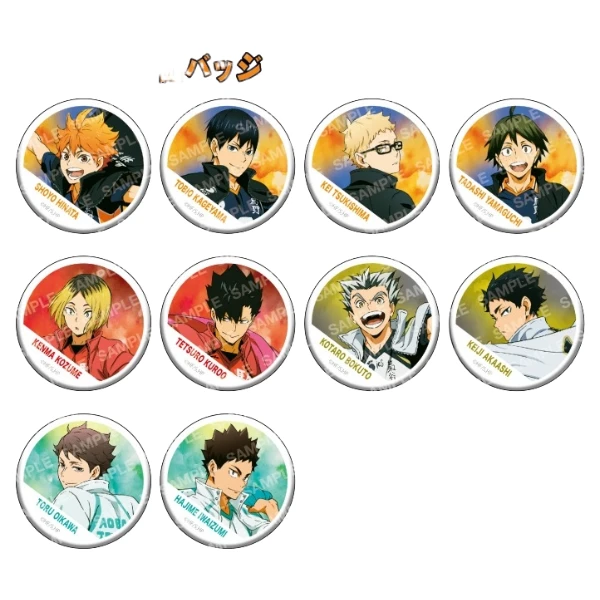 【日谷】排球少年队旗吧唧 战旗 随机闪 盲盒徽章