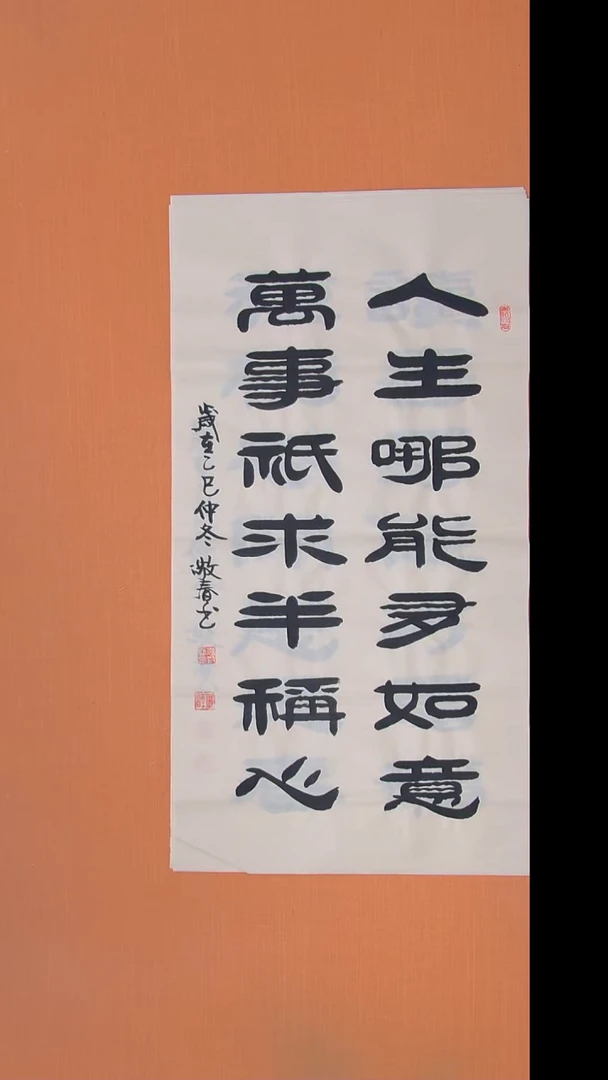 书法袁老师精美作品100*50