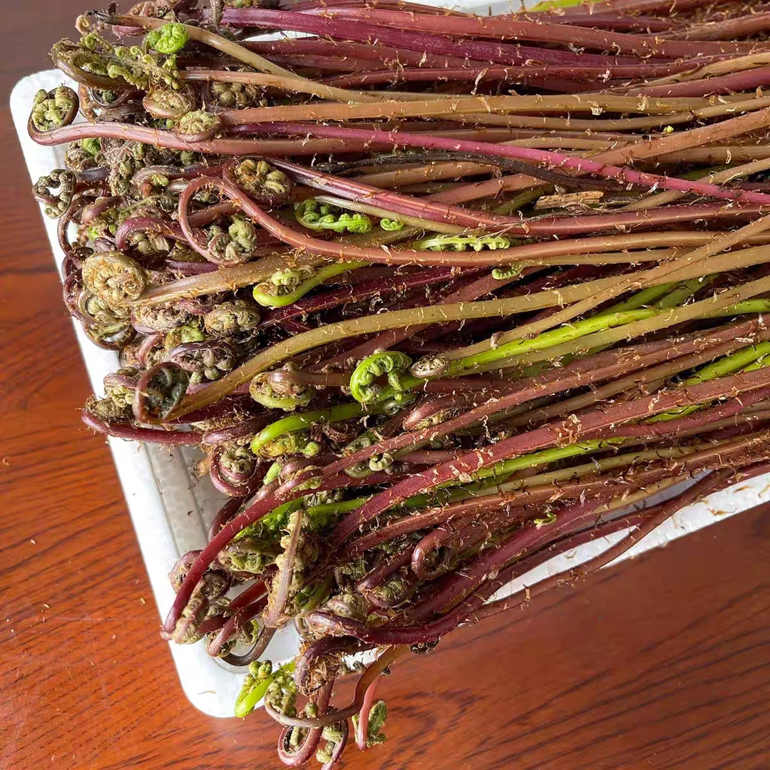 东北山野菜猴腿菜