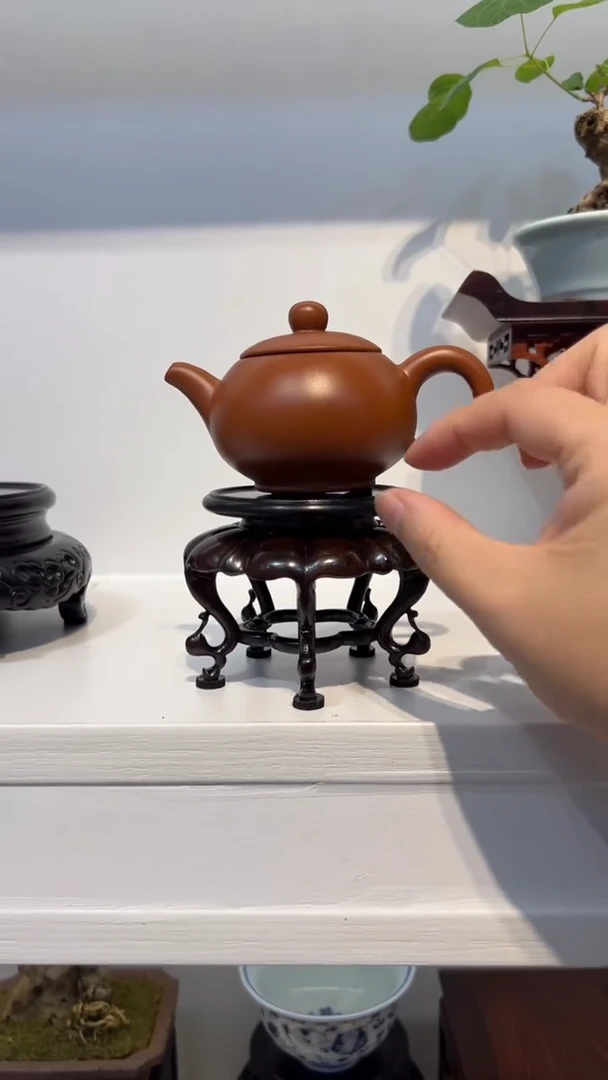 1紫砂紫砂紫砂紫砂紫砂