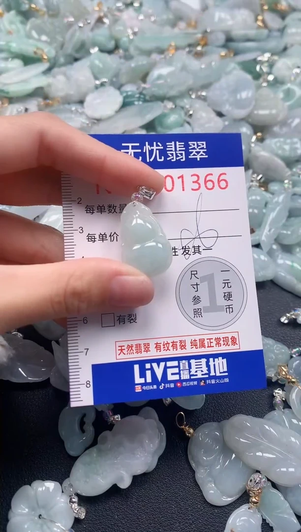 颈饰未镶嵌翡翠1366