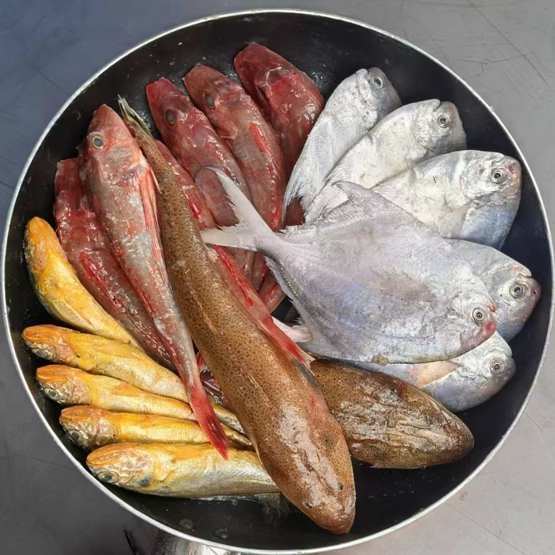 自家渔船直发 当潮当水鲜货  海鱼拼盘  到手净重4斤