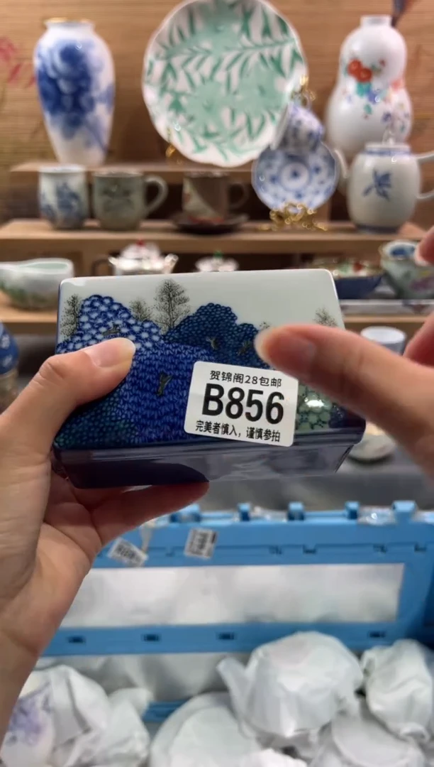 瓷片梅*7        B856