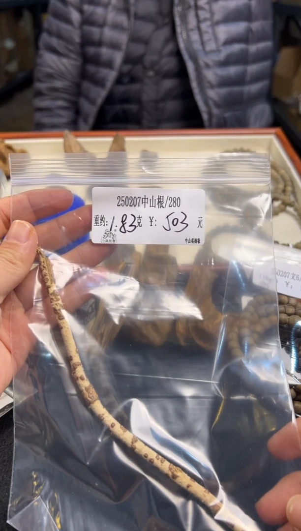 【闪购商品】木250207中山根   1.83克