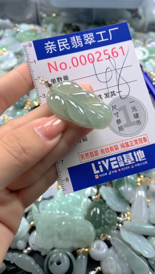 颈饰未镶嵌翡翠2561