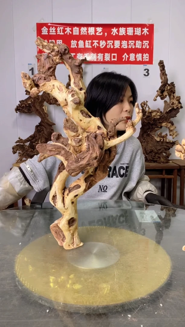 【闪购商品】木30枯树摆件 粗磨粗加工半成品 毛料