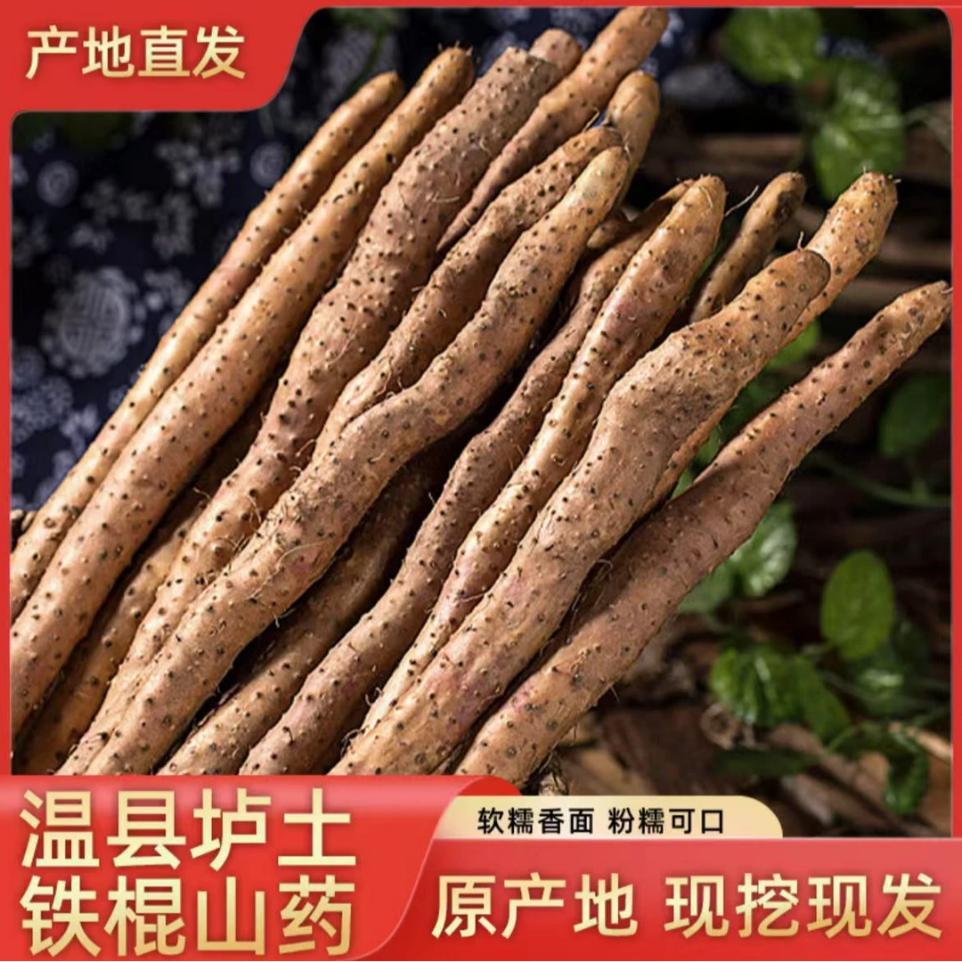 河南焦作温县垆土铁棍山药 新鲜营养5斤装