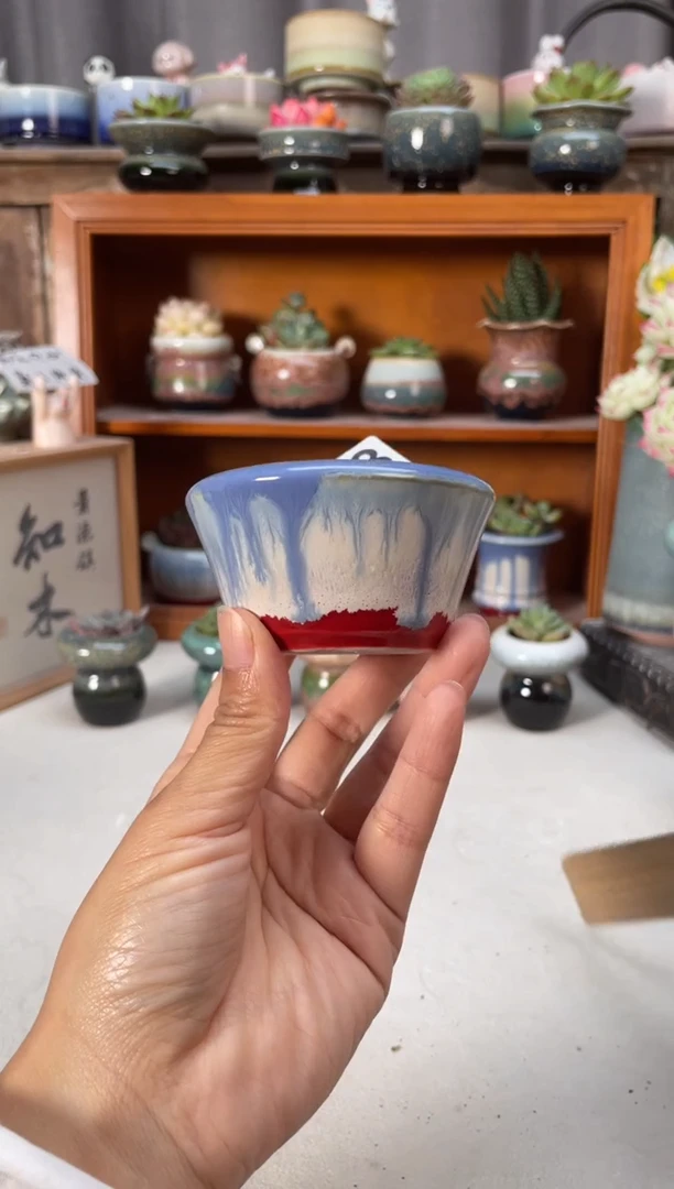 瓷片063知木小芳花盆