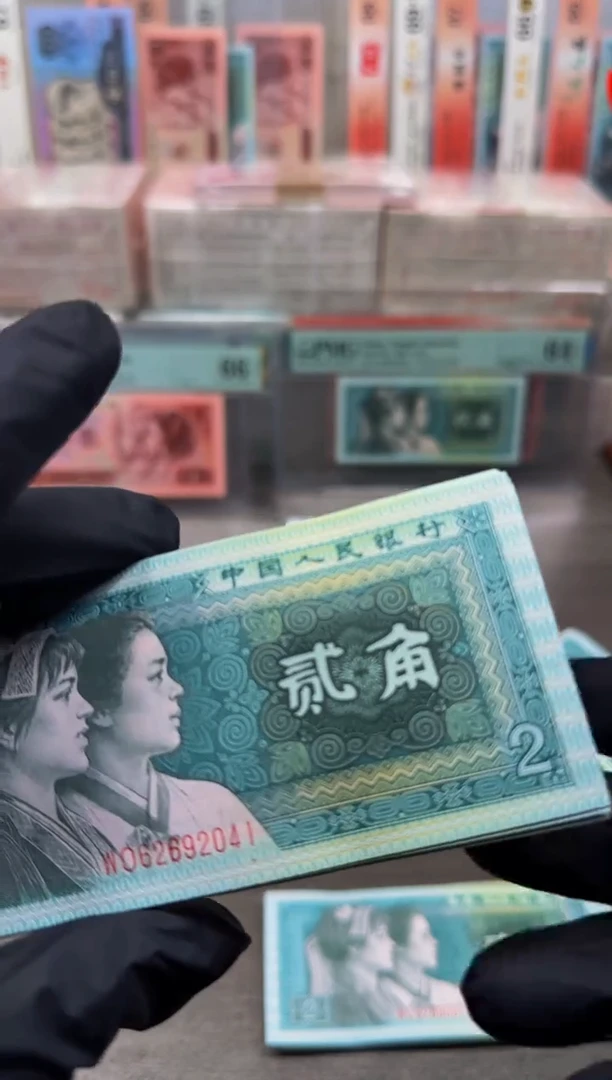 【闪购商品】8002 WO62692041-50标十