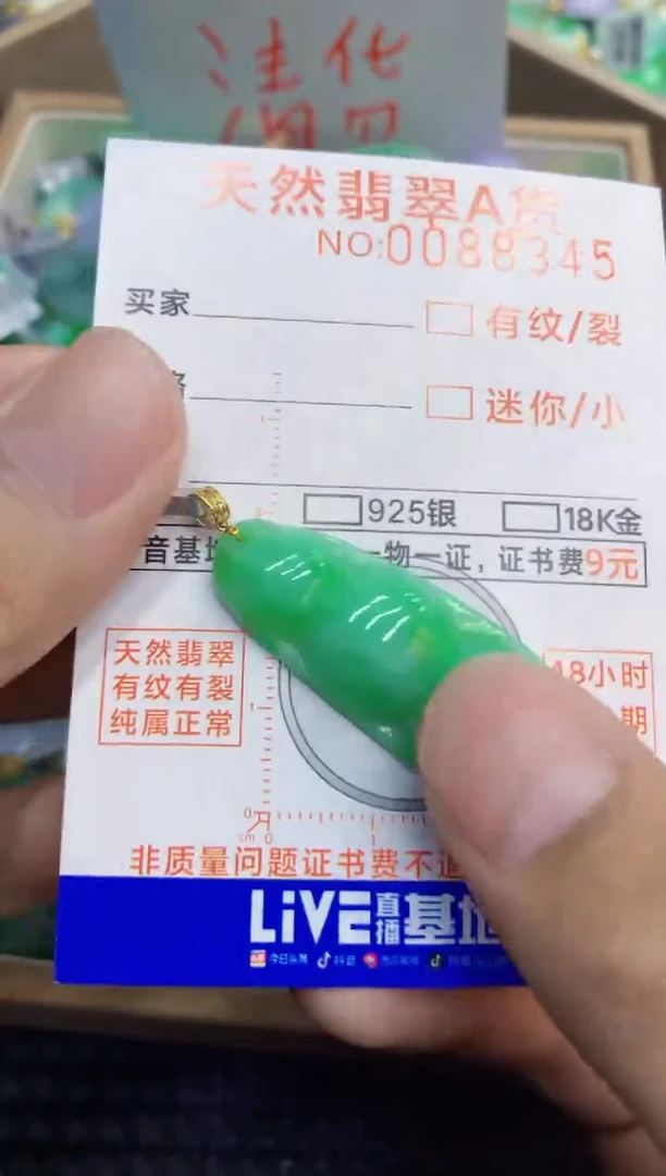 翡翠未镶嵌吊坠(不含链)1