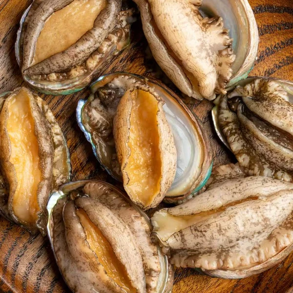 6-8头活冻大鲍鱼7cm左右速冻锁鲜九孔鲍冷冻海鲜水产