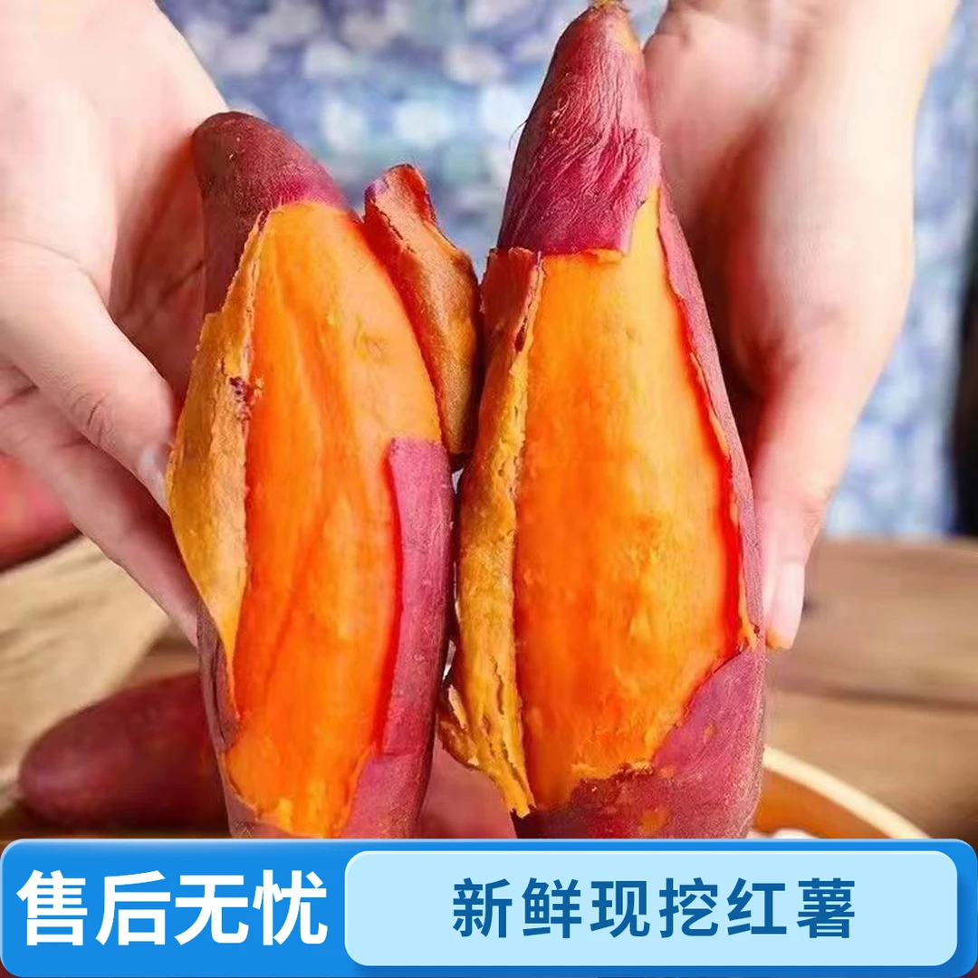 现挖农家红薯西瓜红蜜薯糖心板栗软糯香甜现挖现发番薯健康果