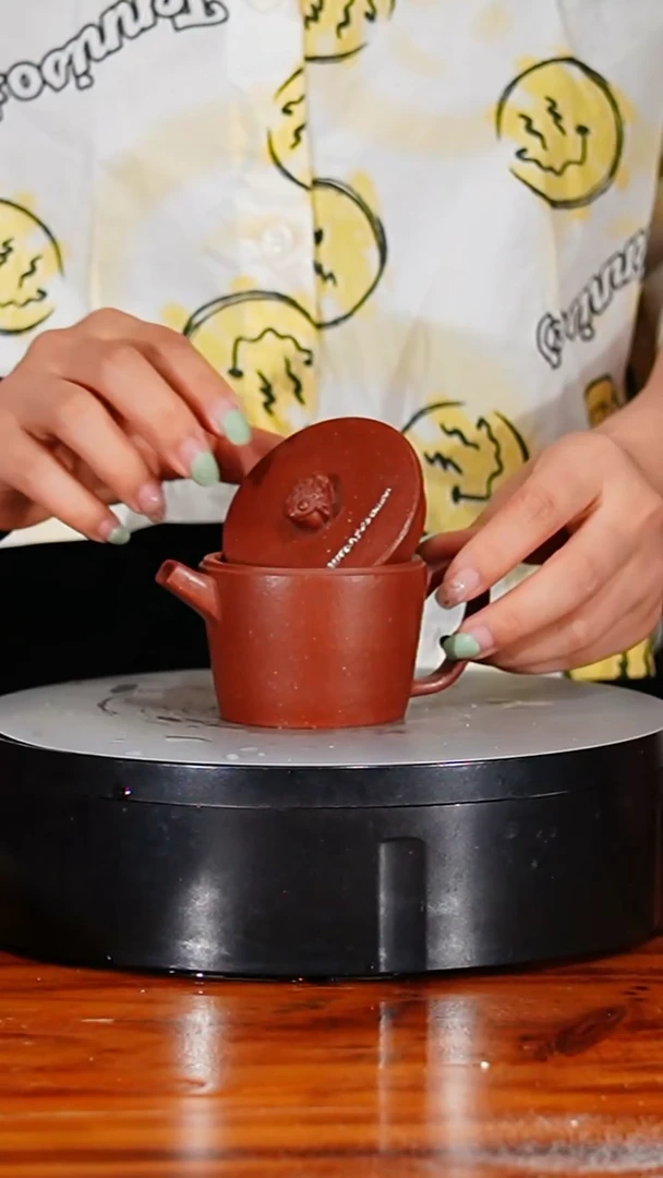 宜兴原矿紫砂壶茶壶100C