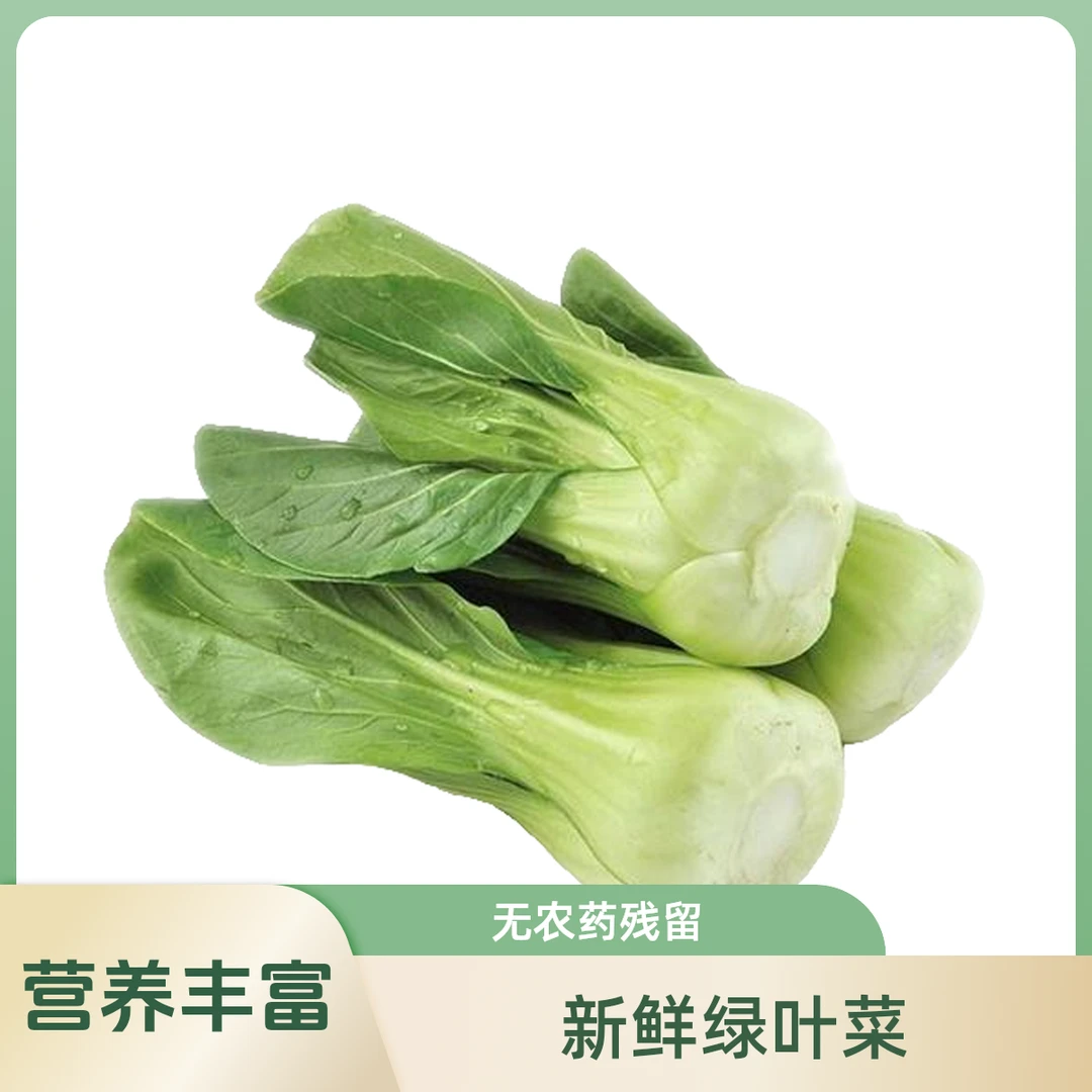 沈阳大头油菜500g±20g