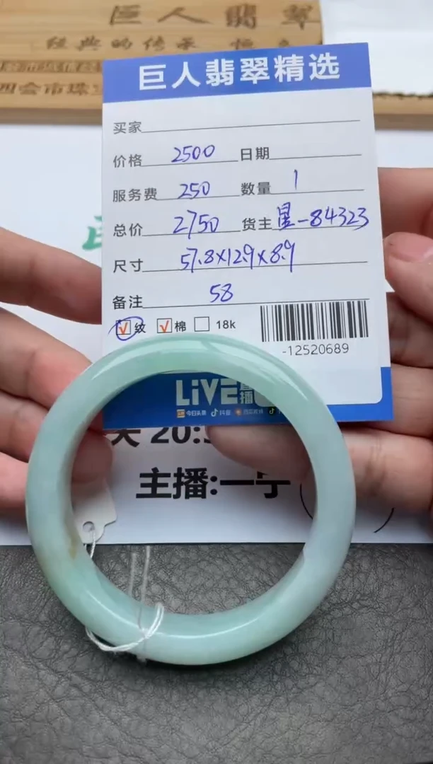 颈饰未镶嵌翡翠手镯多人-12520689