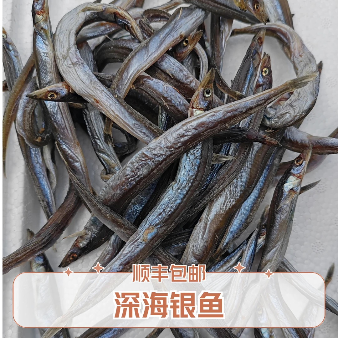 东港深海银鱼