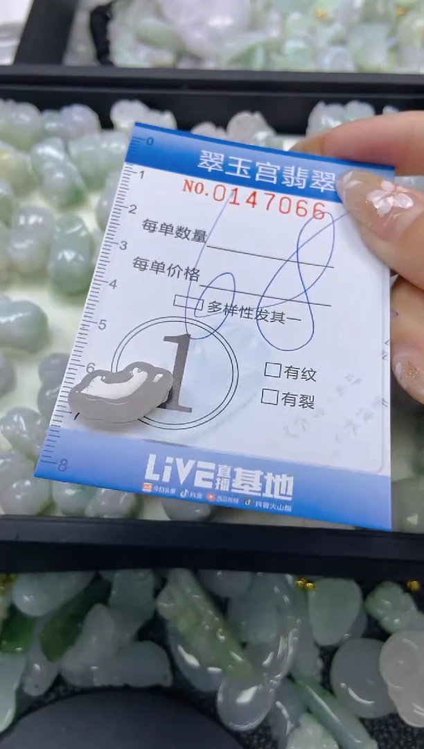 翡翠未镶嵌颈饰闪购0147066