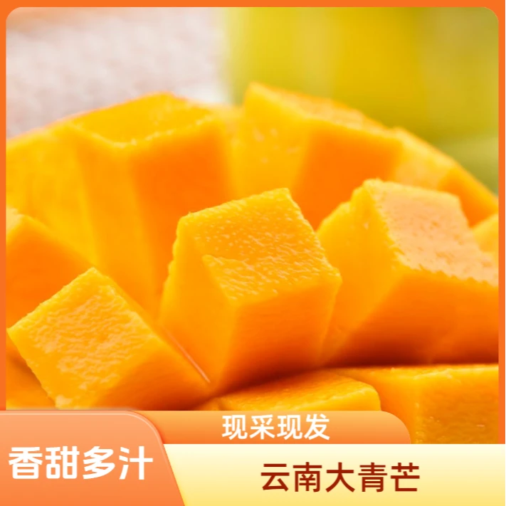 【正宗云南金煌芒】 好吃 爆香爆甜 生熟两吃 香甜多汁 现采现发
