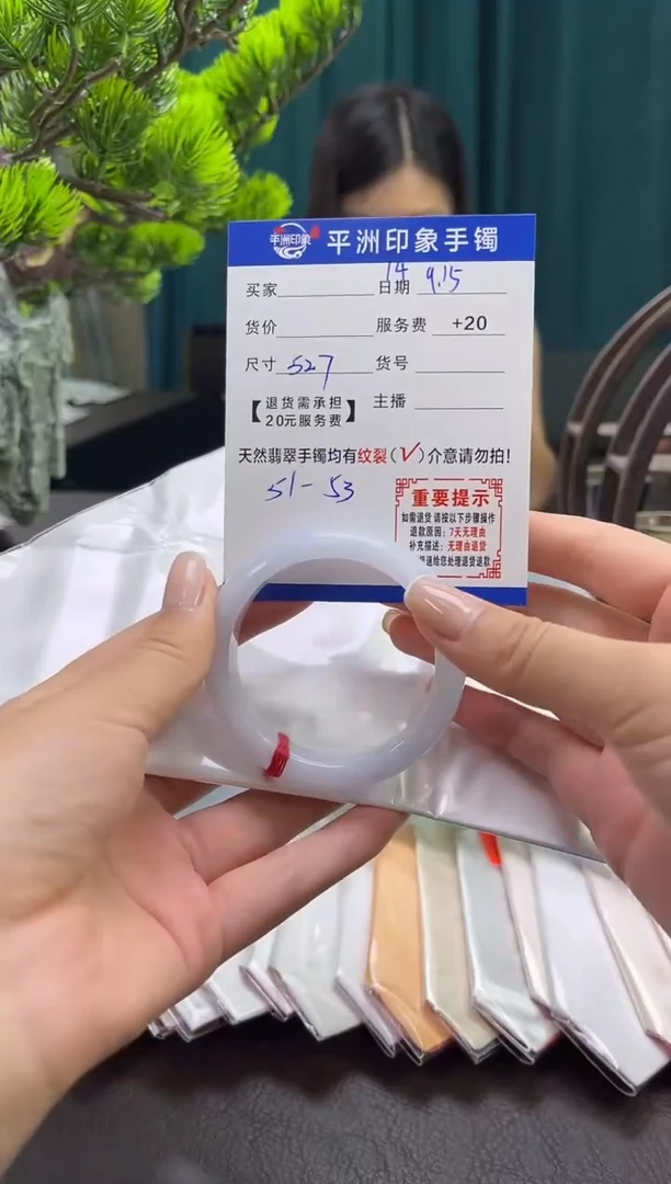 未镶嵌手镯翡翠（有鉴赏期）14