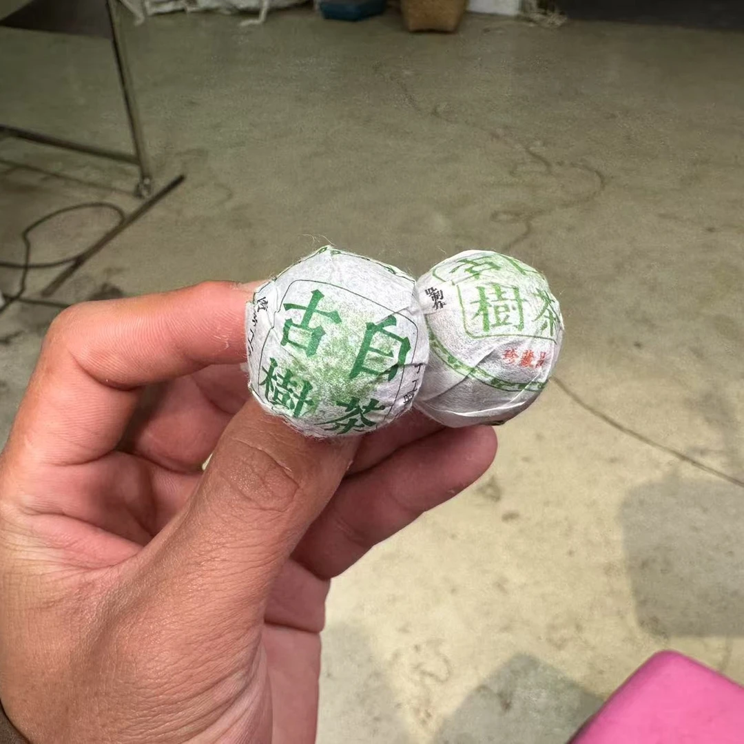 (CN219)why/2024年春/冰岛湖南等老寨古树/白茶/8g龙珠（250g）