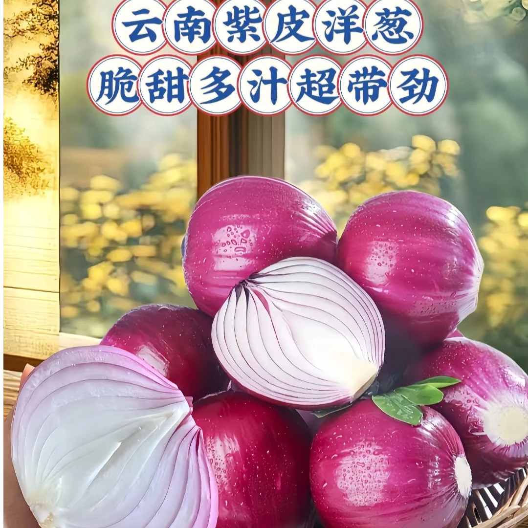 云南紫皮水果洋葱口感新鲜可生吃产地直发