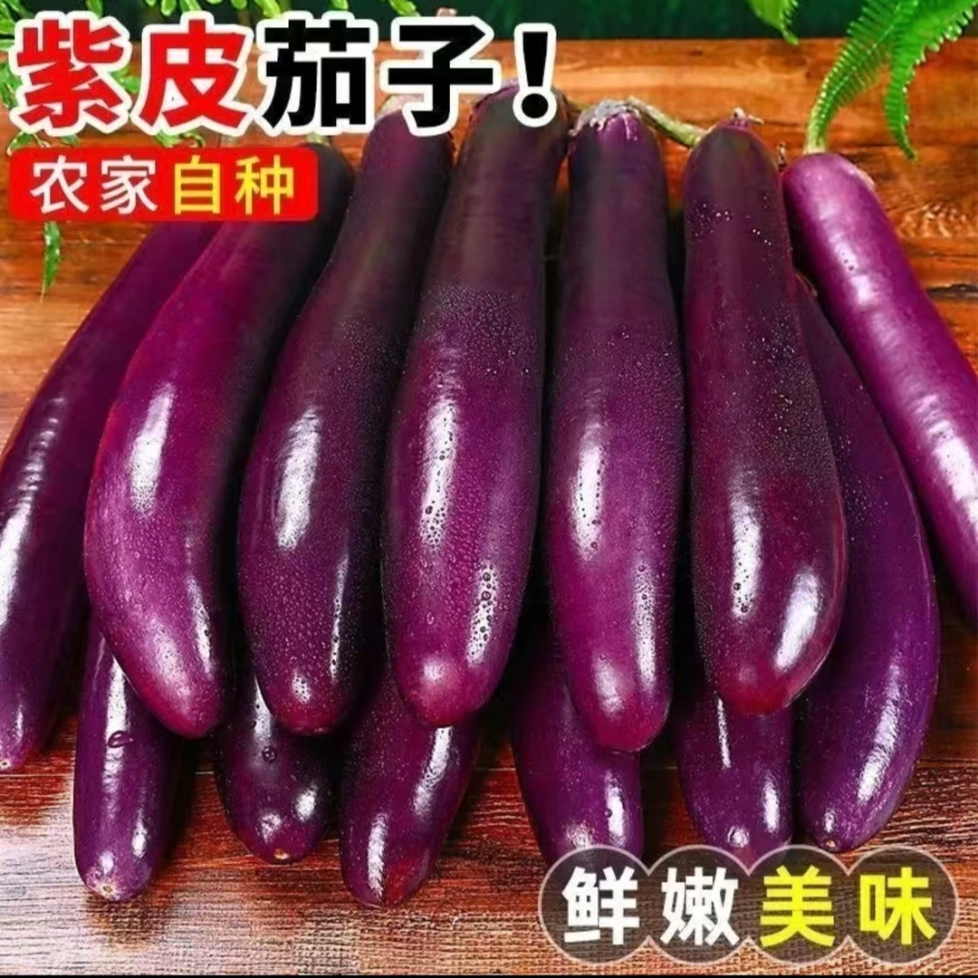 长条茄王 回购率高 420g±20g(茄子)