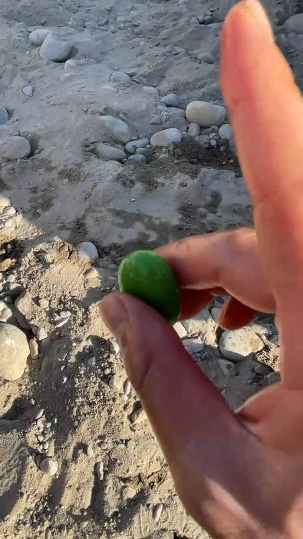 颈饰未镶嵌和田玉（糖玉）008