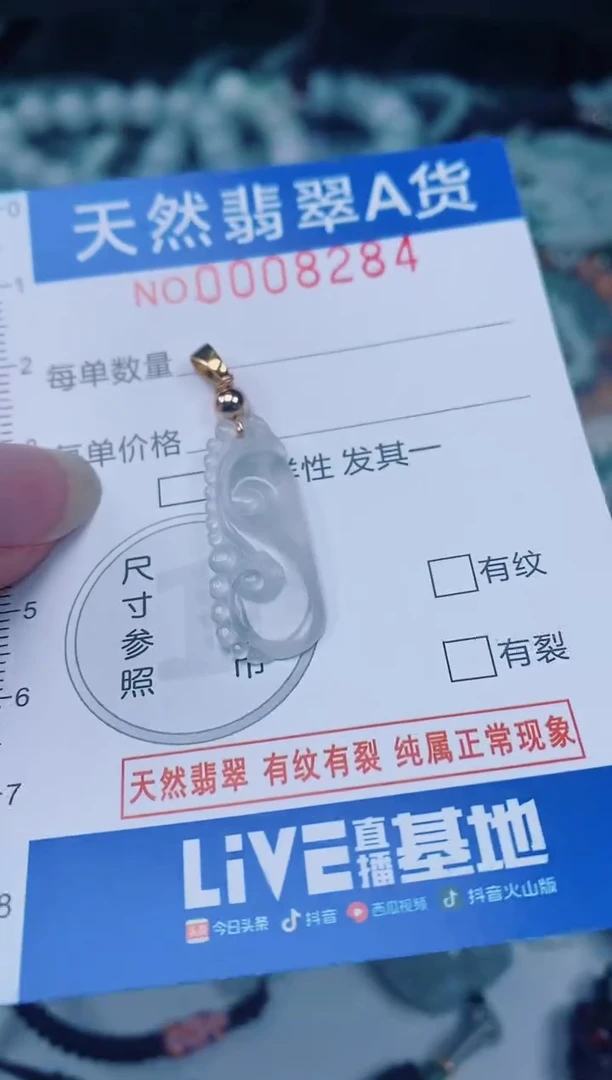 颈饰未镶嵌翡翠00008284