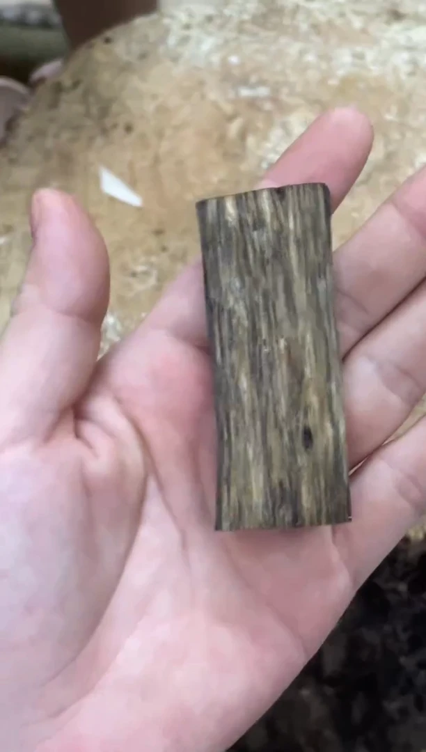 沉香碎屑沉香棋楠沉香 原料文创1