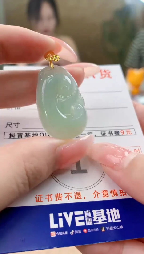 颈饰未镶嵌翡翠天然A货翡翠挂件